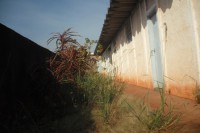 /album/galeria%20de%20fotos%3a%20albergue%20%27irm%c3%a3%20maria%20placida%20stedele%27/dscf5907-jpg/